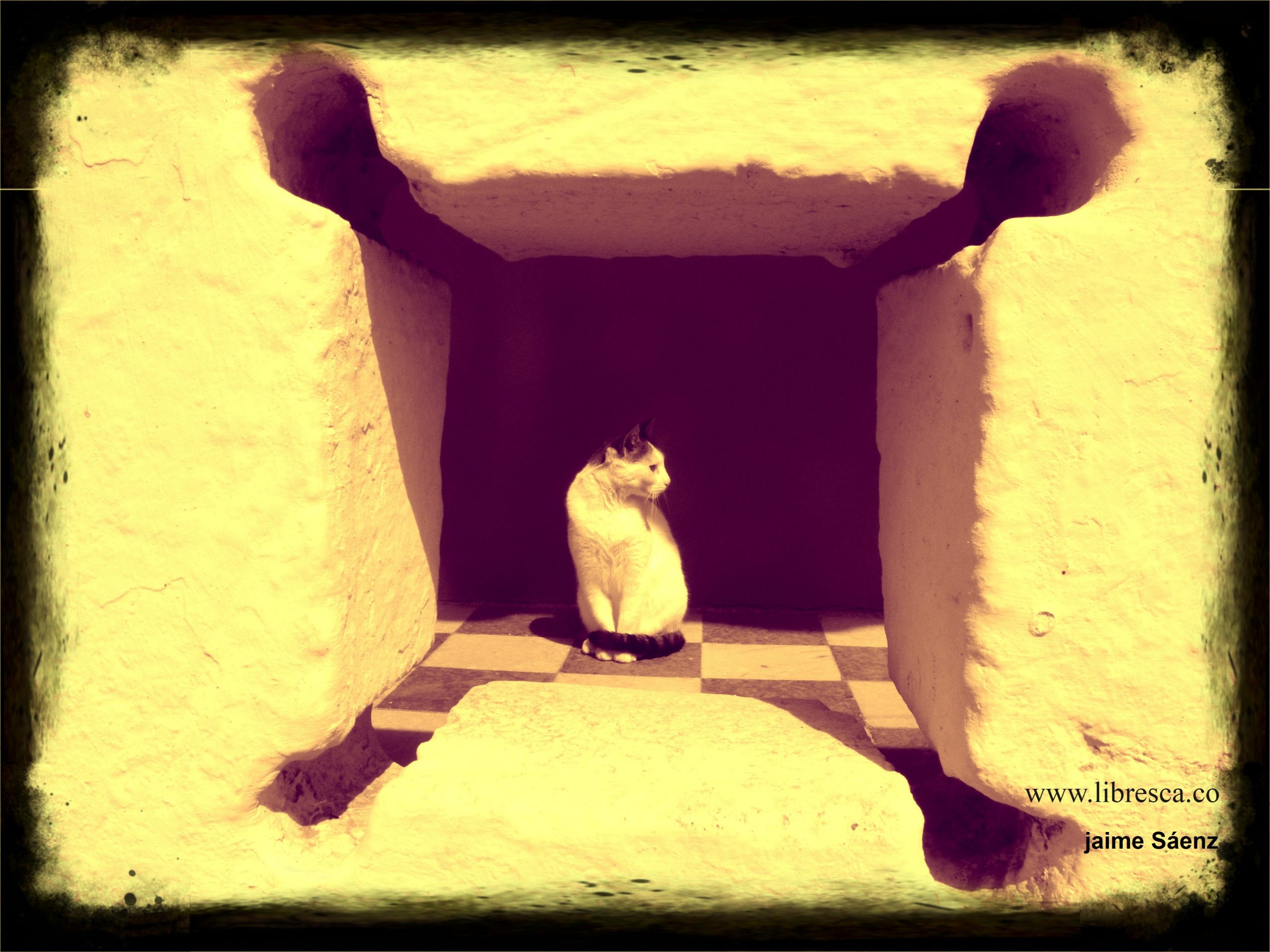 Poemas dedicados a los gatos
