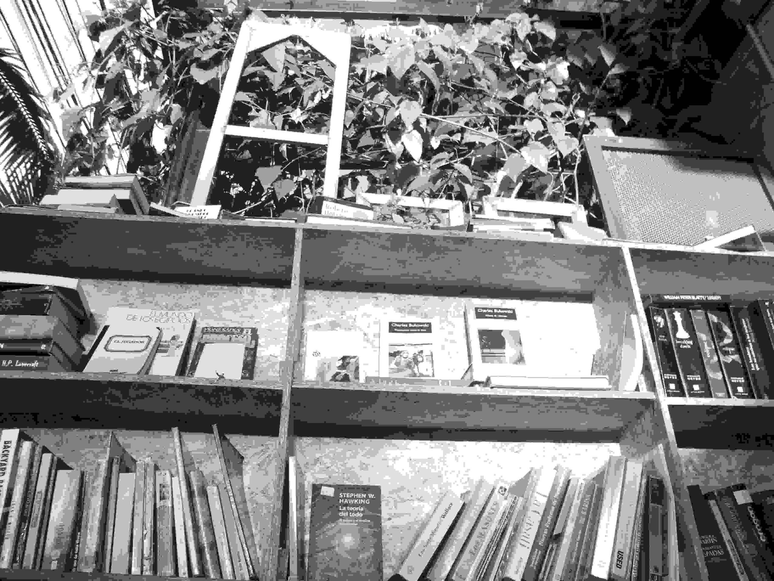 Un AguaFiestas del Libro