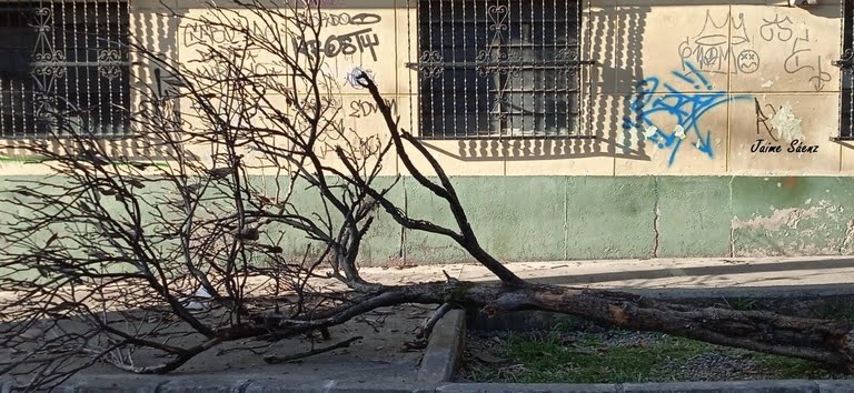 ¿Está Colombia lista para el cambio climático? Una encuesta revela la opinión de los ciudadanos